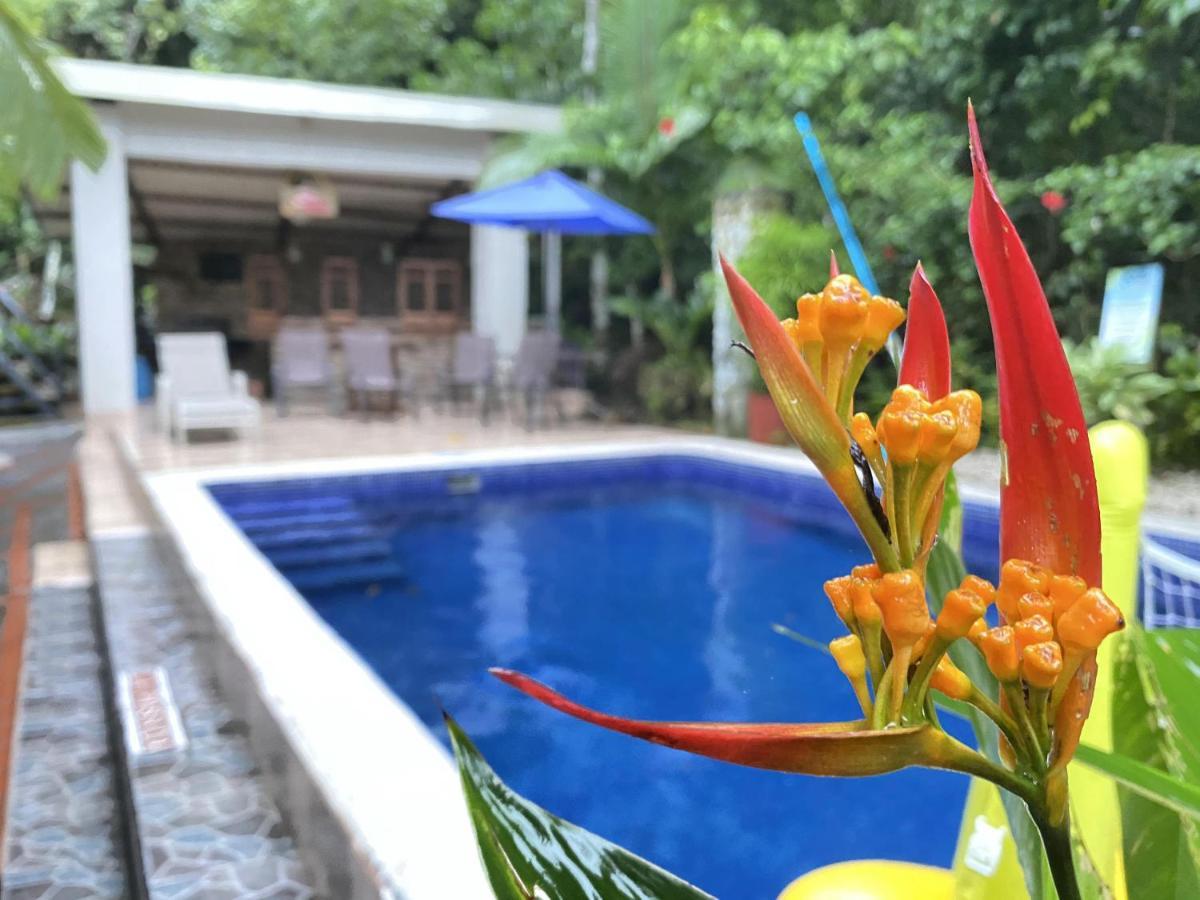 La Posada Jungle Hotel Manuel Antonio Buitenkant foto