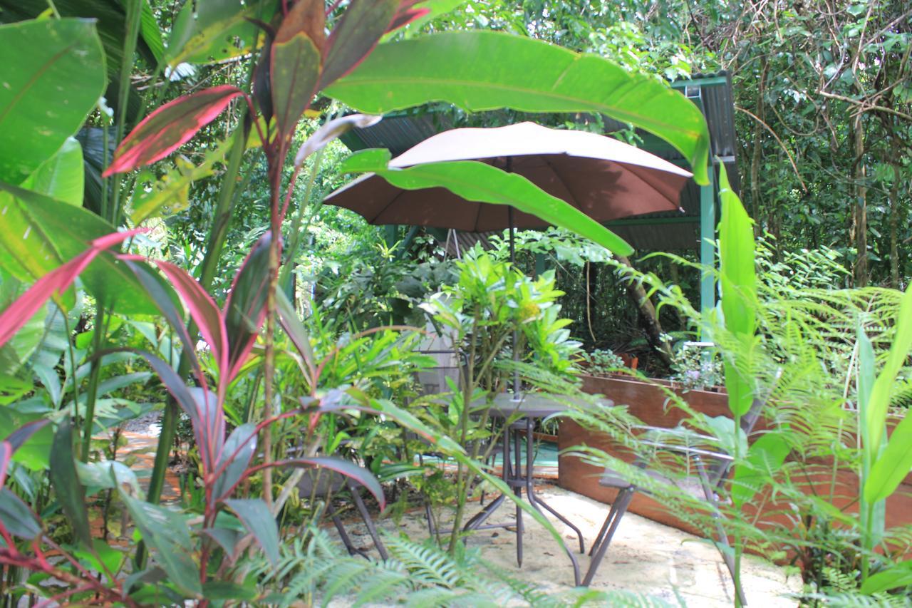 La Posada Jungle Hotel Manuel Antonio Buitenkant foto